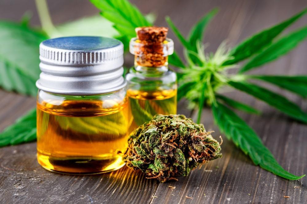 Wholesale Hemp Suppliers