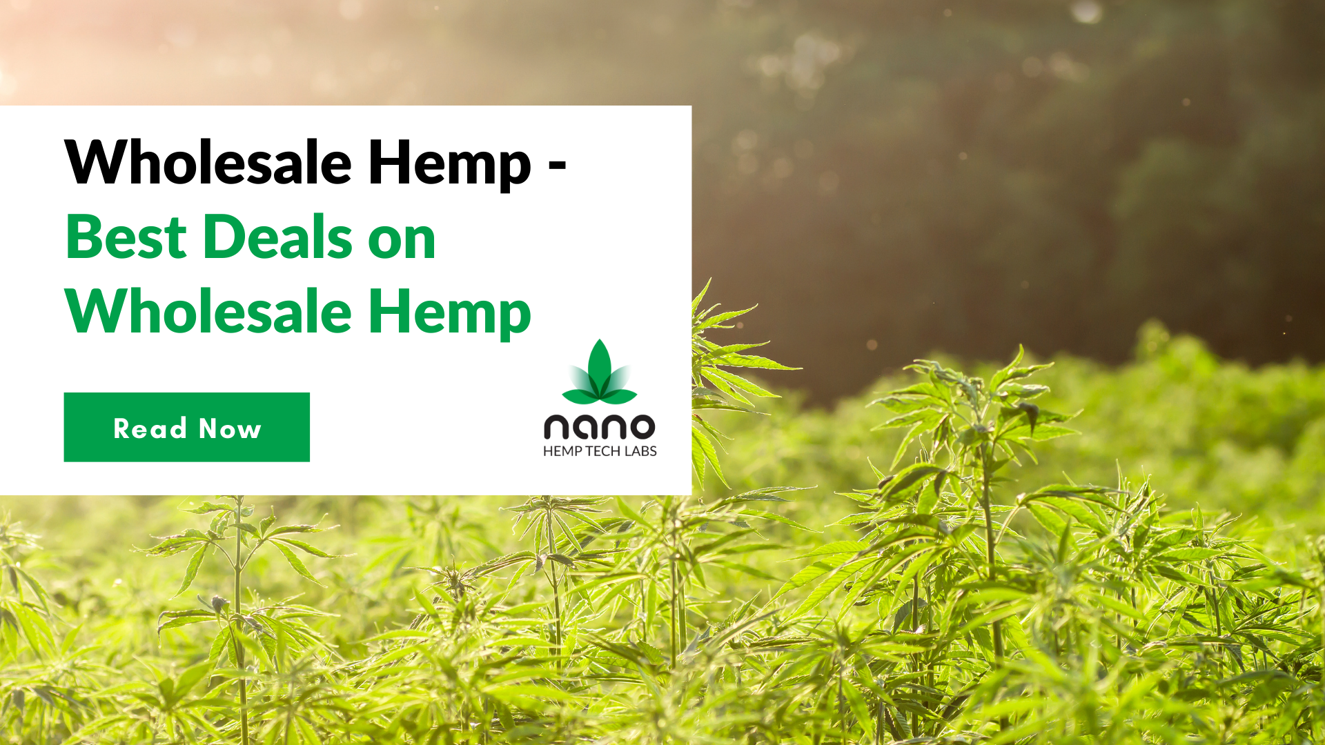 Wholesale Hemp Suppliers