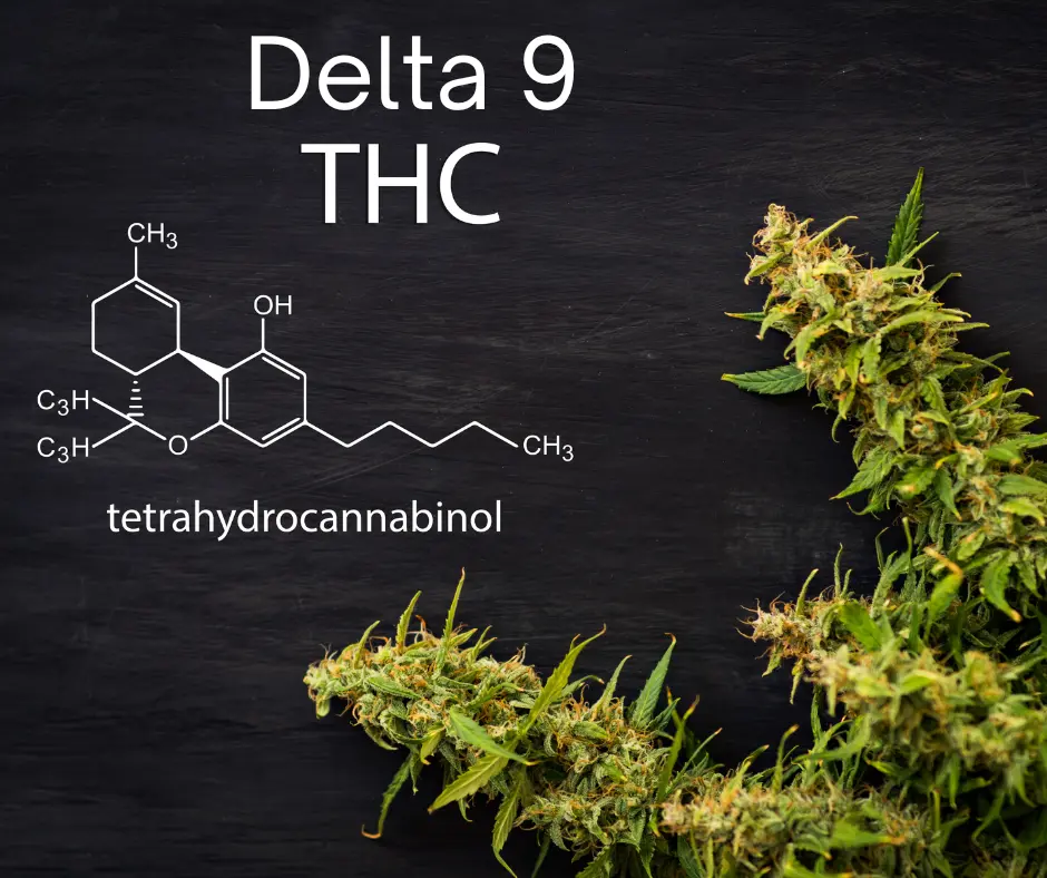 Delta-9 THC in Minnesota