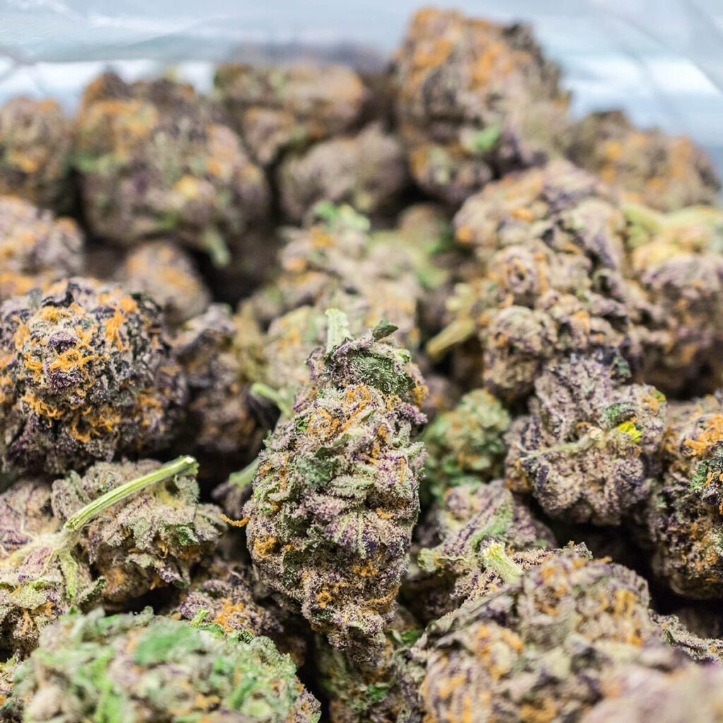 CBD Wholesale Supplier