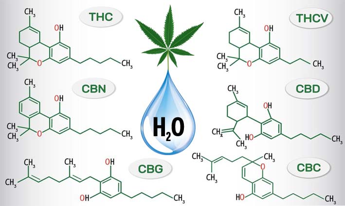 Water-soluble Cannabinoids