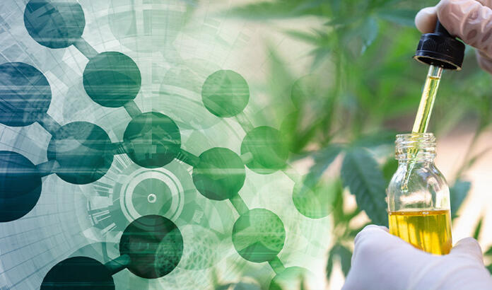 CBD Nanotechnology
