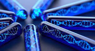 Nano Nutraceuticals