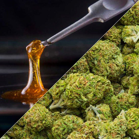 Nano Emulsified Cannabinoids