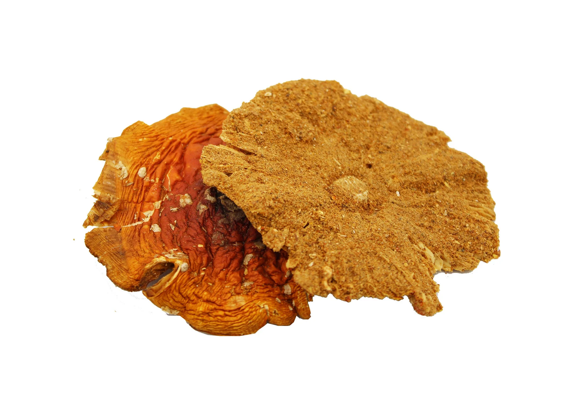 Nano Activated Mushroom Extract