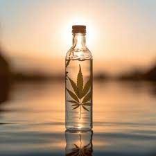 Hemp Water Bottle