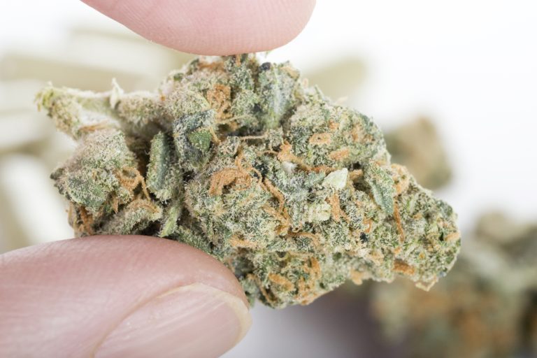 THCA Flower