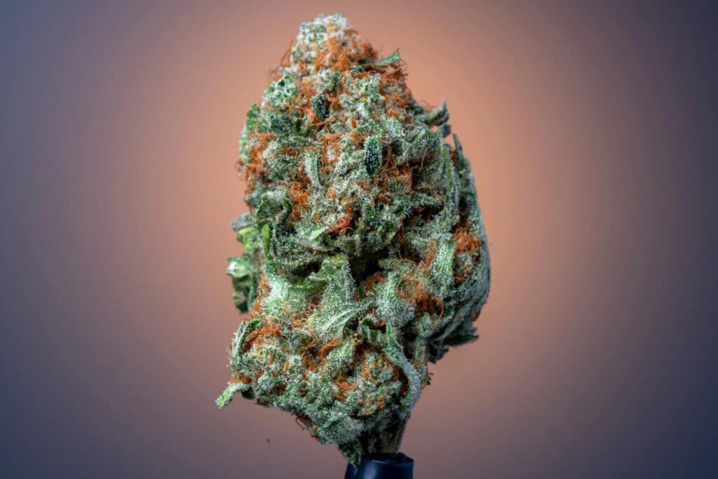 THCA Flower
