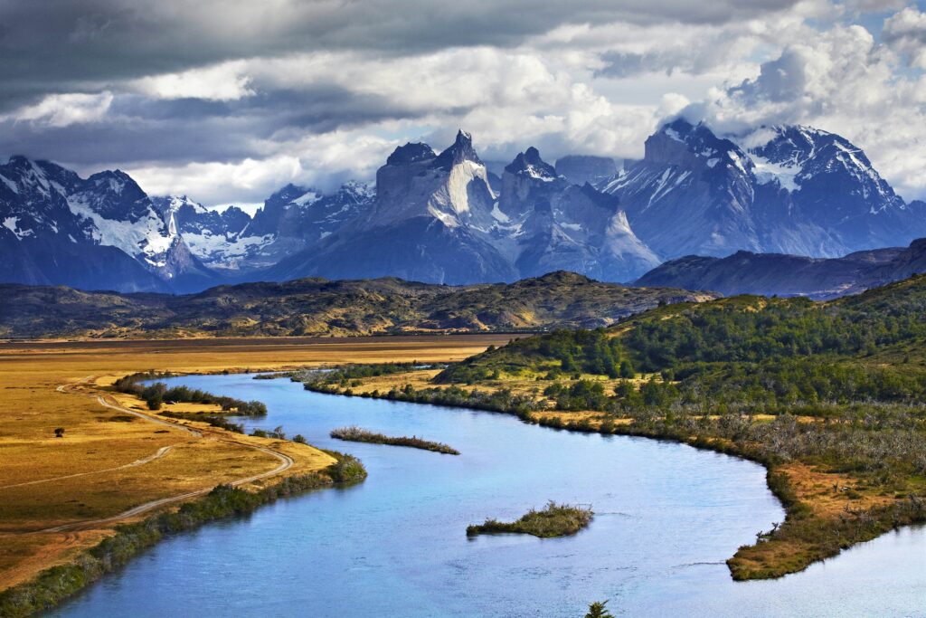 Patagonia Hemp Harvest