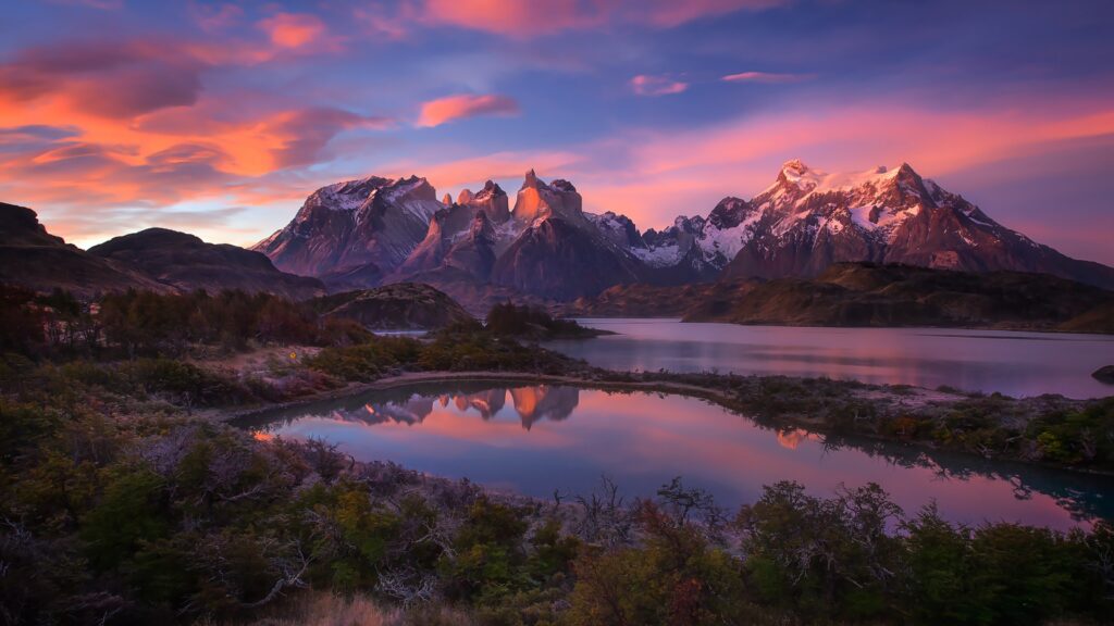 Patagonia Hemp Harvest