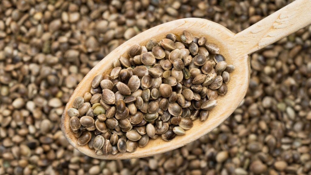 Hemp Seeds Online