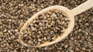 Hemp Seeds Online