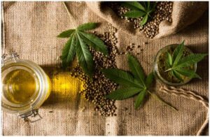 Hemp History