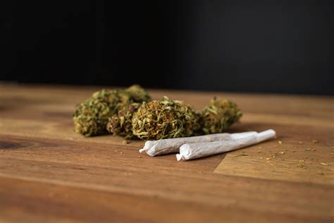 Hemp Online