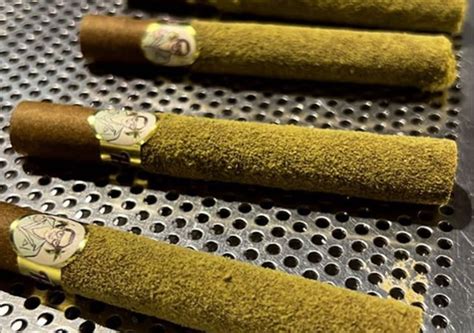 Infused Pre Roll