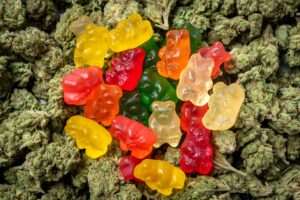 Premium Edible Gummies