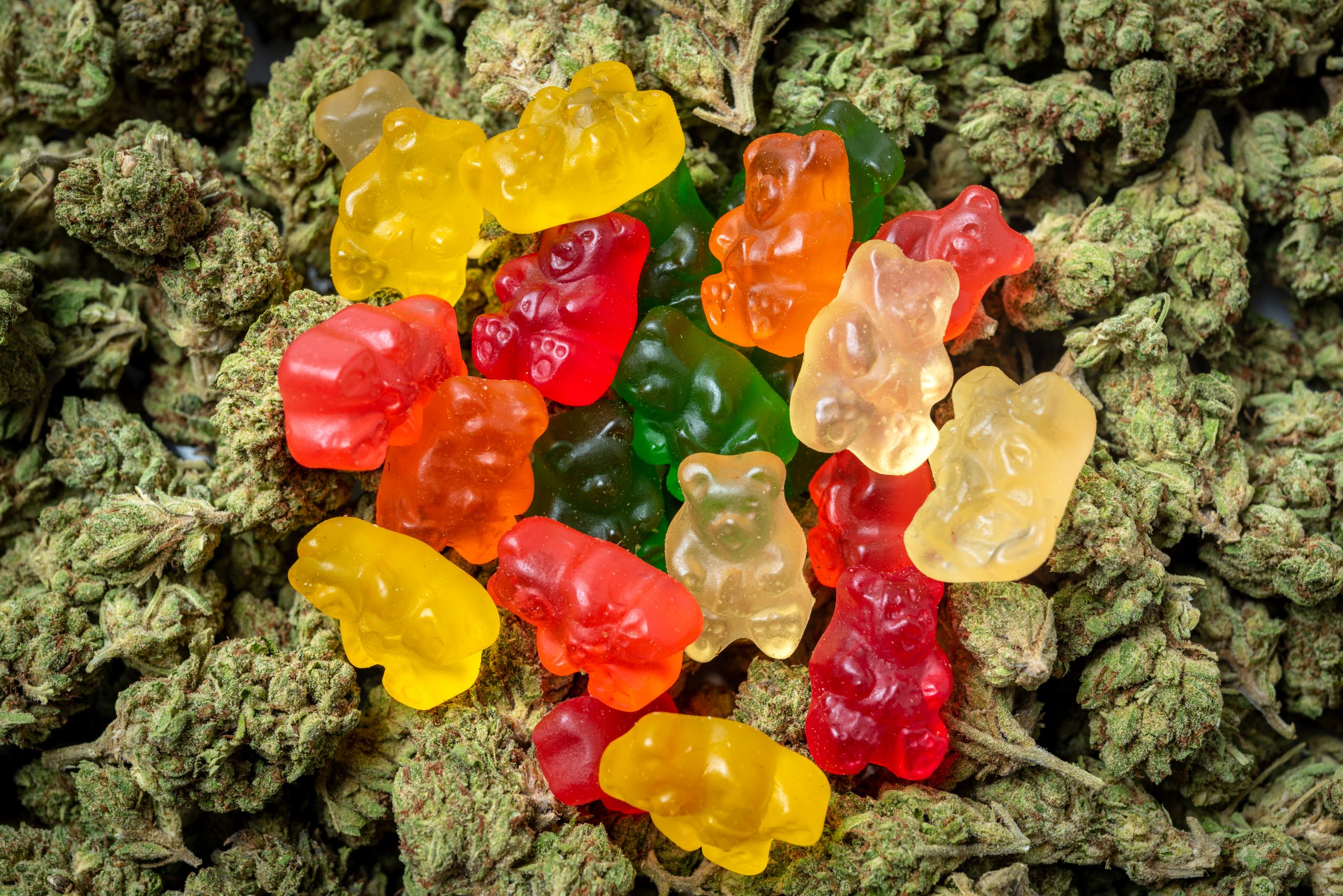 Premium Edible Gummies