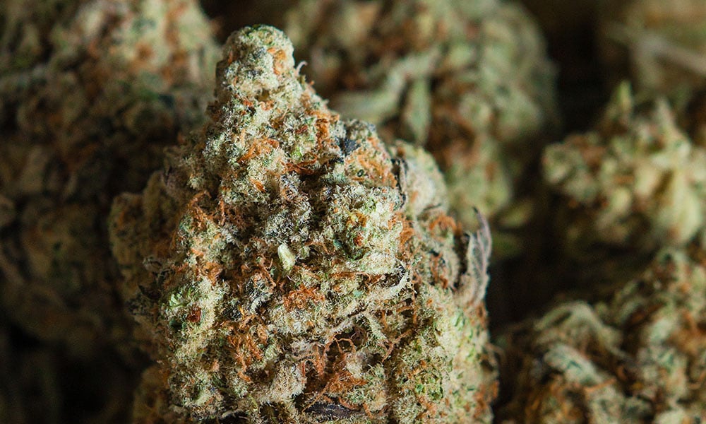 THC M Wholesale