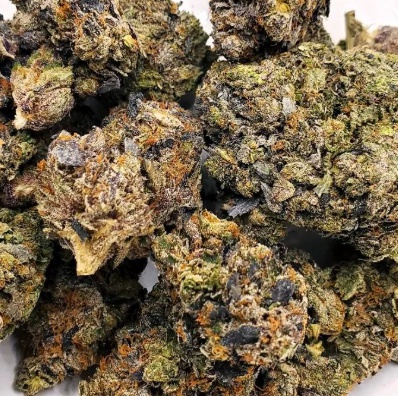 Zaza Strain