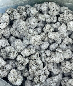 Snow Cap Cannabis