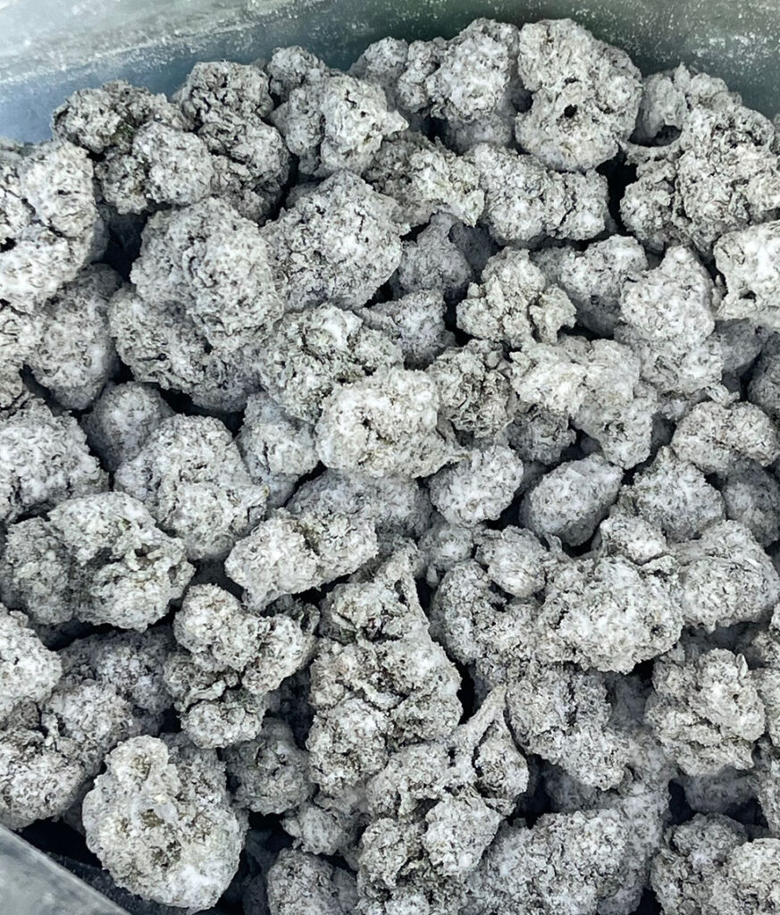 Snow Cap Cannabis