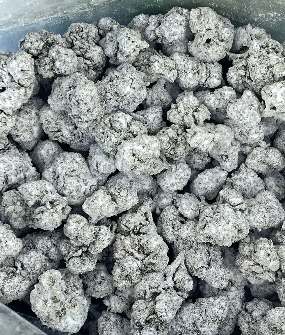 Snow Cap Cannabis