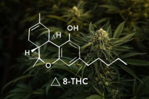 Delta 8 THC