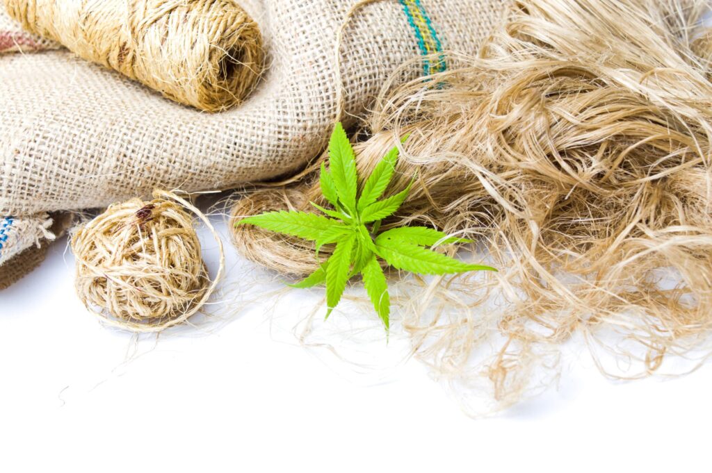 Hemp Products New