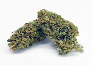 Premium Hemp Flower