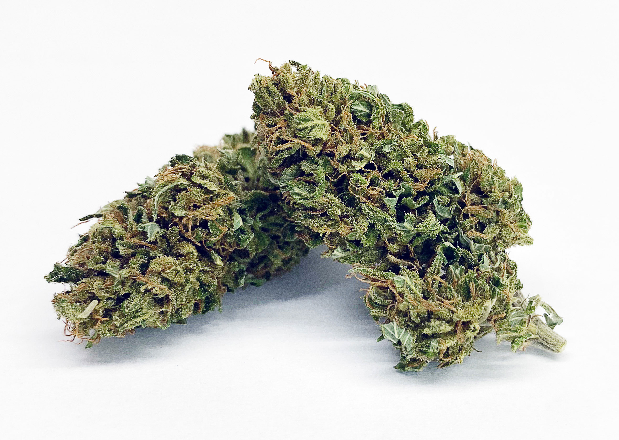 Premium Hemp Flower
