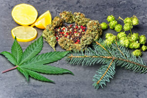 Terpenes Wholesale