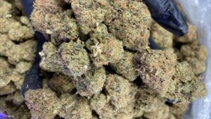 Snow Cap Strain Wholesale