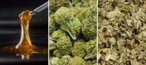 Cannabinoids Wholesale