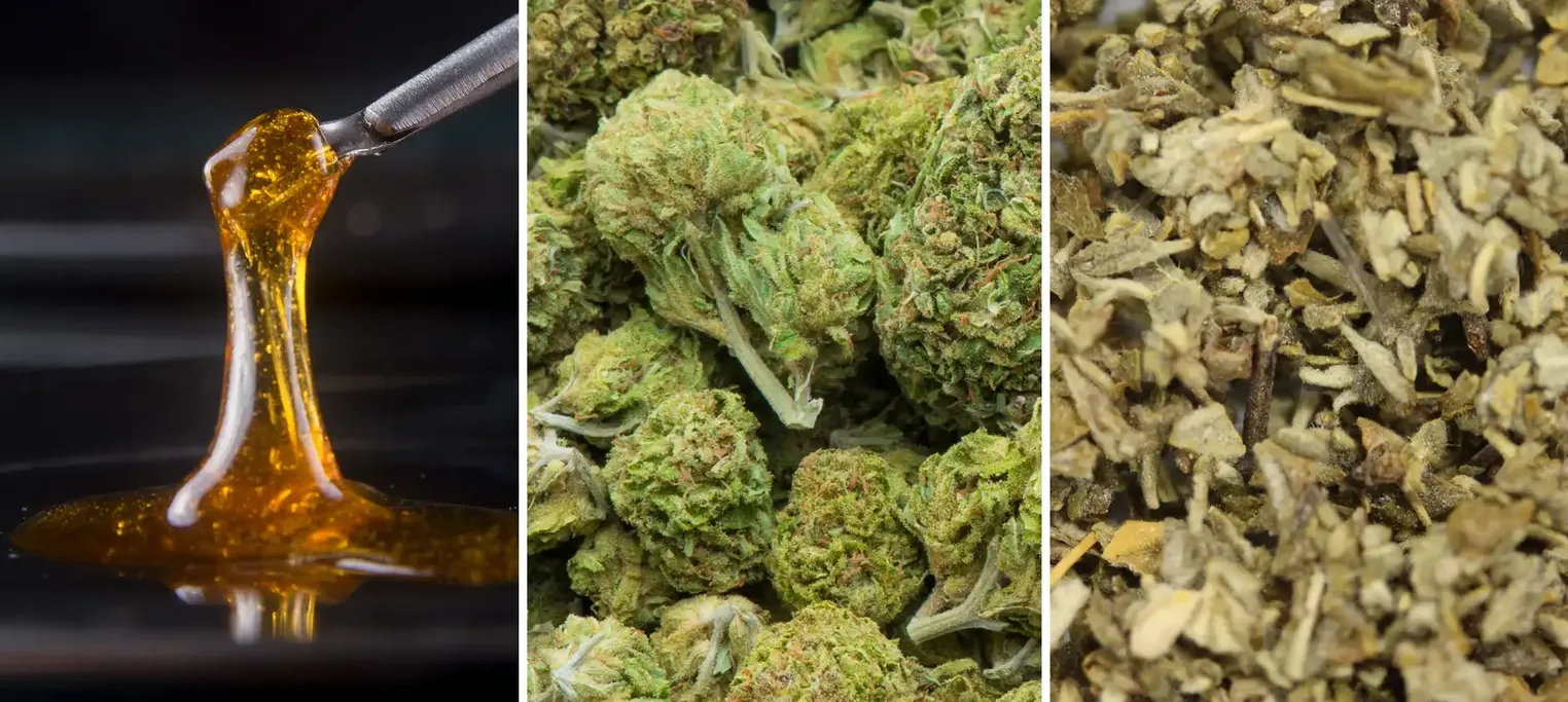 Cannabinoids Wholesale