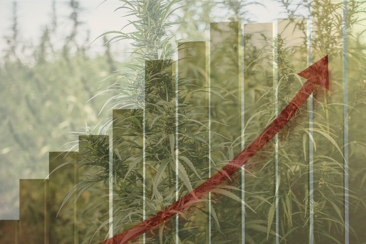 Hemp Market