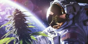 Hemp in Space