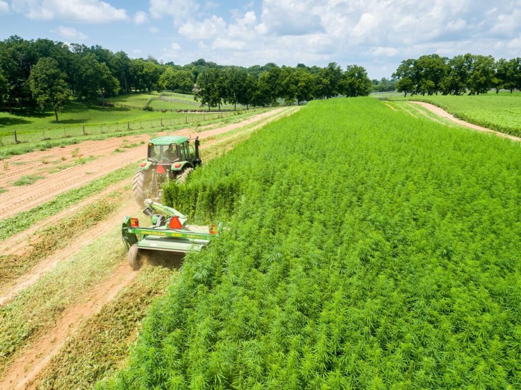 Industrial Hemp