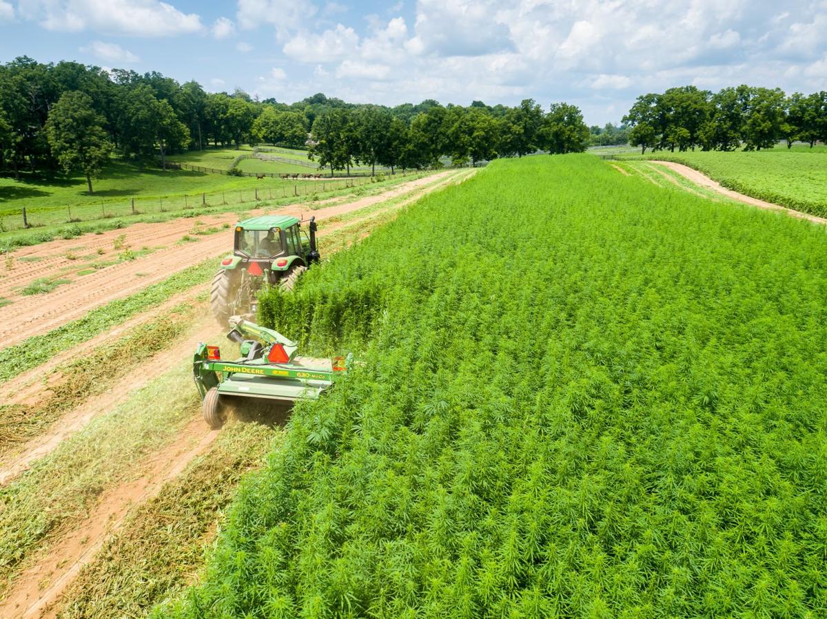 Industrial Hemp