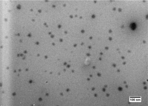 Nano Emulsion