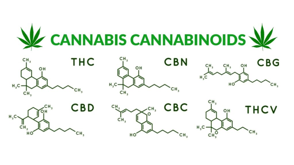 Hemp Cannabinoids
