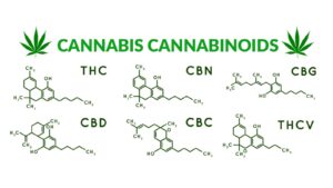 Hemp Cannabinoids