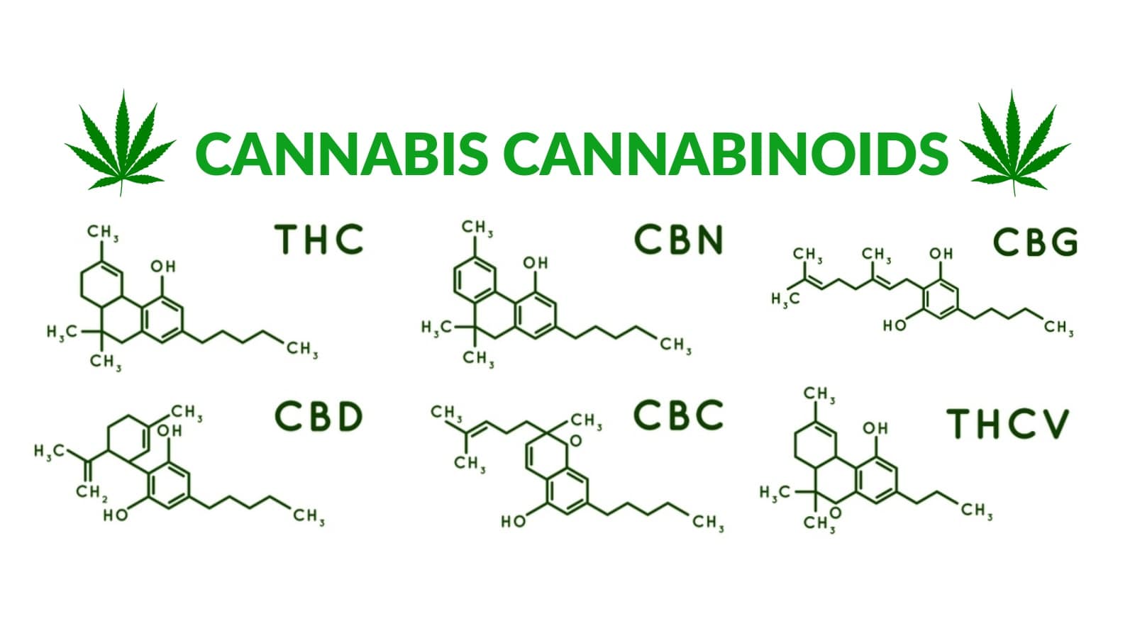 Hemp Cannabinoids