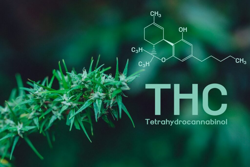 Hemp Derived THC