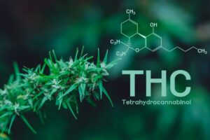 Hemp Derived THC